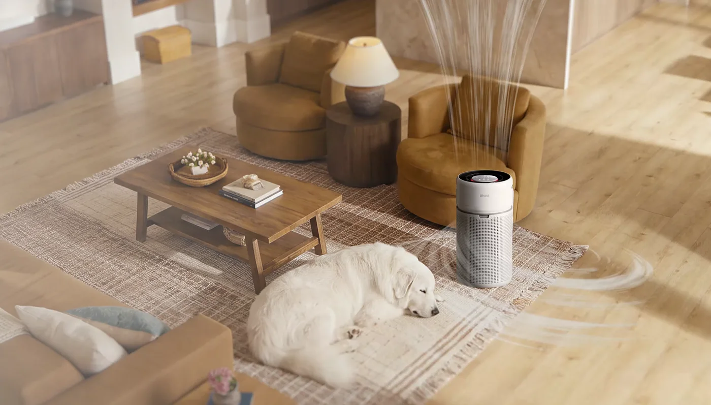 Levoit Eleva air purification in your home